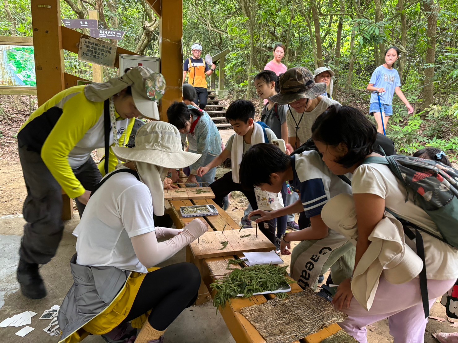 alt-自管處辦理2024步道植物物候導覽解說及闖關「魔芋奇緣」，帶領民眾認識壽山生態之美-1