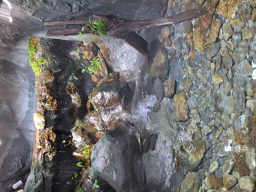 alt-Taiwan Salmon Eco Center Reopens for Visitors after Renovation-1