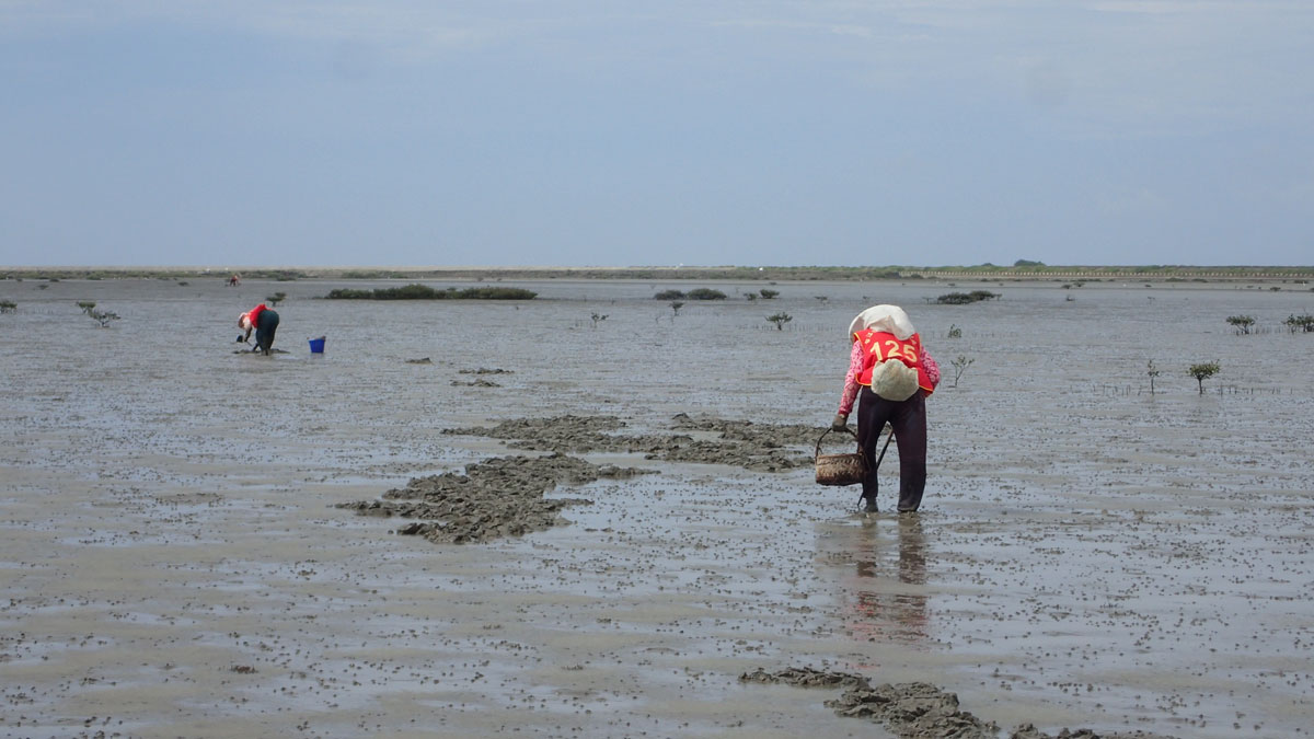 alt-Taijiang National Park: A model for sustainable conservation and local livelihoods-1