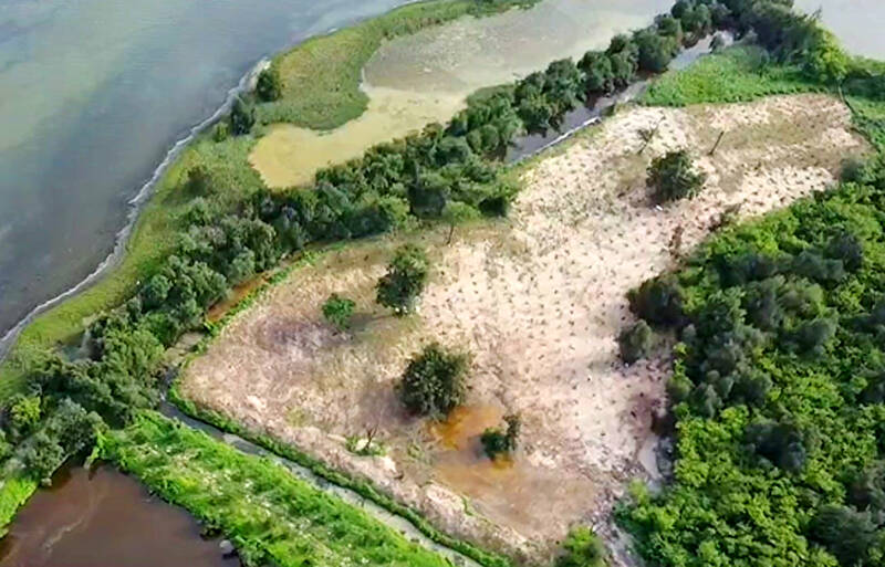 Kinmen National Park Headquarters has just completed supplementary planting at the cormorant habitat in Ci Lake. Photo credit: Kinmen National Park Headquarters