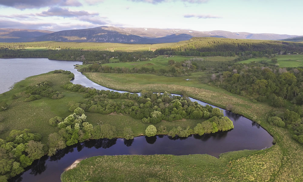 alt-復育自然同時增匯減碳的NbS，以英國最大規模復原自然計畫—Cairngorms Connect為例-1