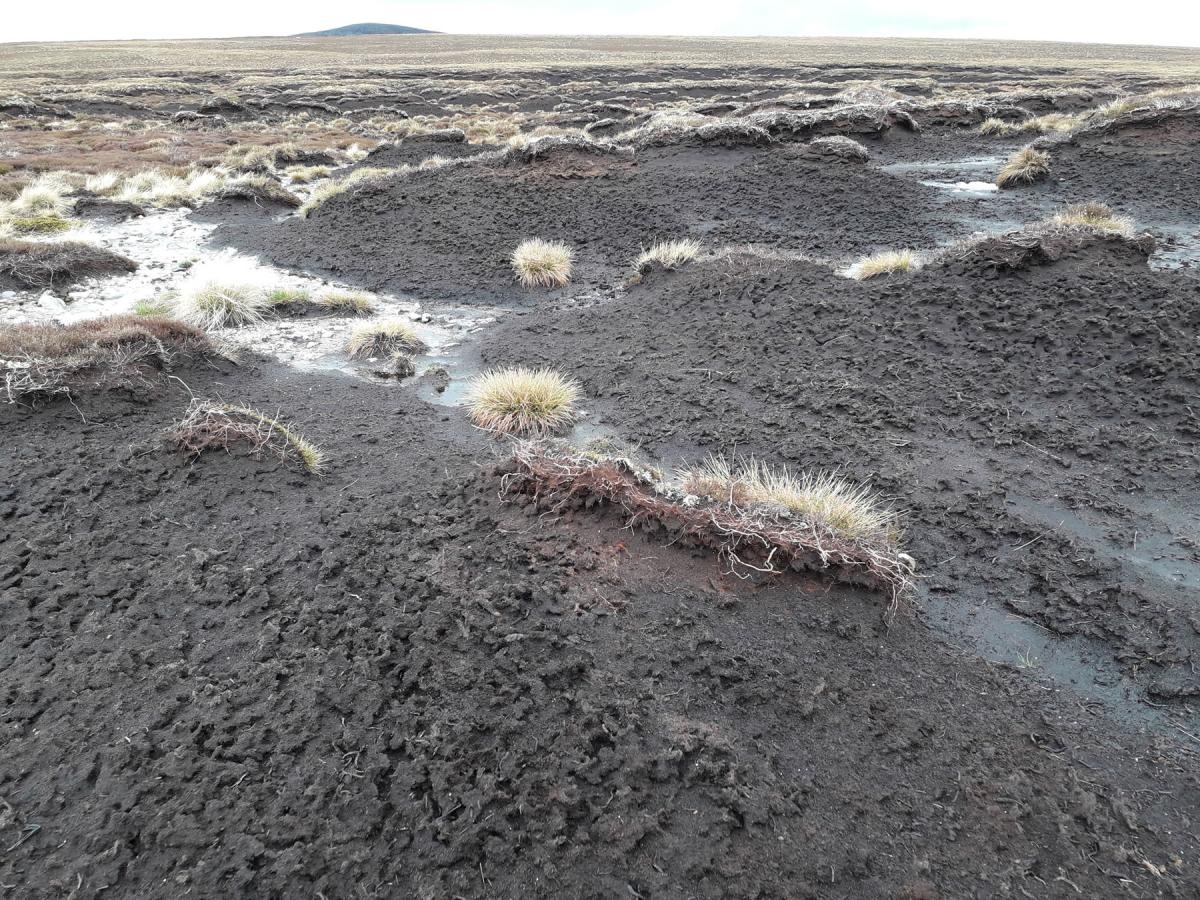 這片位於蘇格蘭An Lurg的暴露泥炭地於2020年冬天開始復原工作，以恢復植被和自然過程（圖片來源：© cairngorms connect / scotlandbigpicture.com）