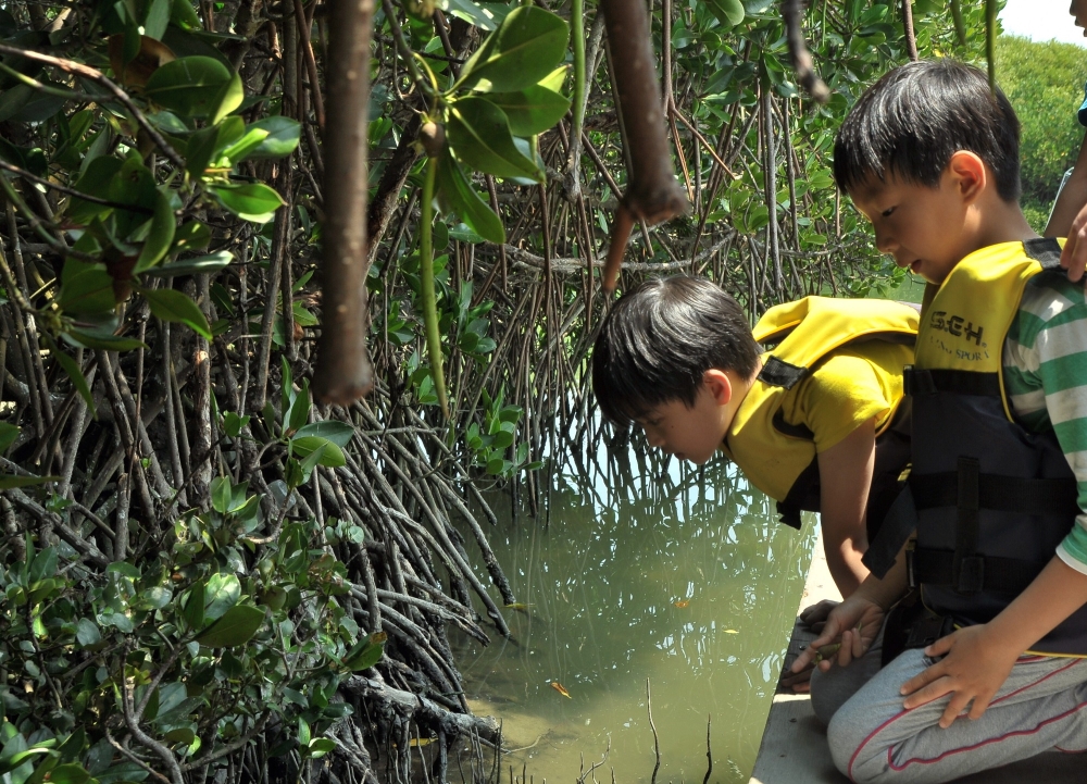 alt-「濕地探索趣」-坐船遊濕地，探索濕地之美!-1