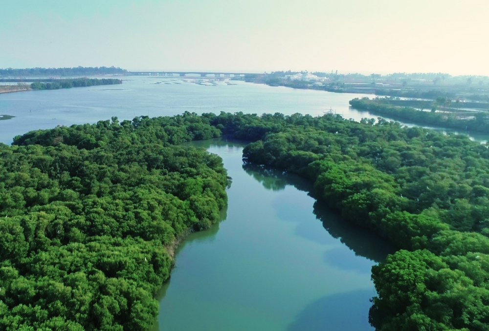 alt-「濕地探索趣」-坐船遊濕地，探索濕地之美!-2