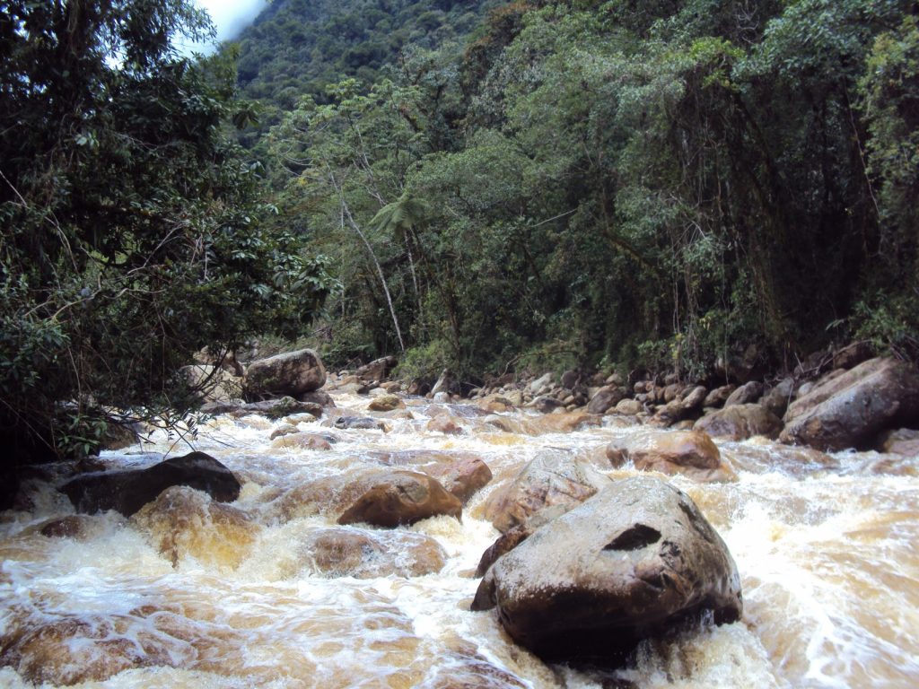 哥倫比亞的瓜嫩塔上豐塞河動植物保護區（圖片來源：哥倫比亞國家公園Parques Nacionales de Colombia）
