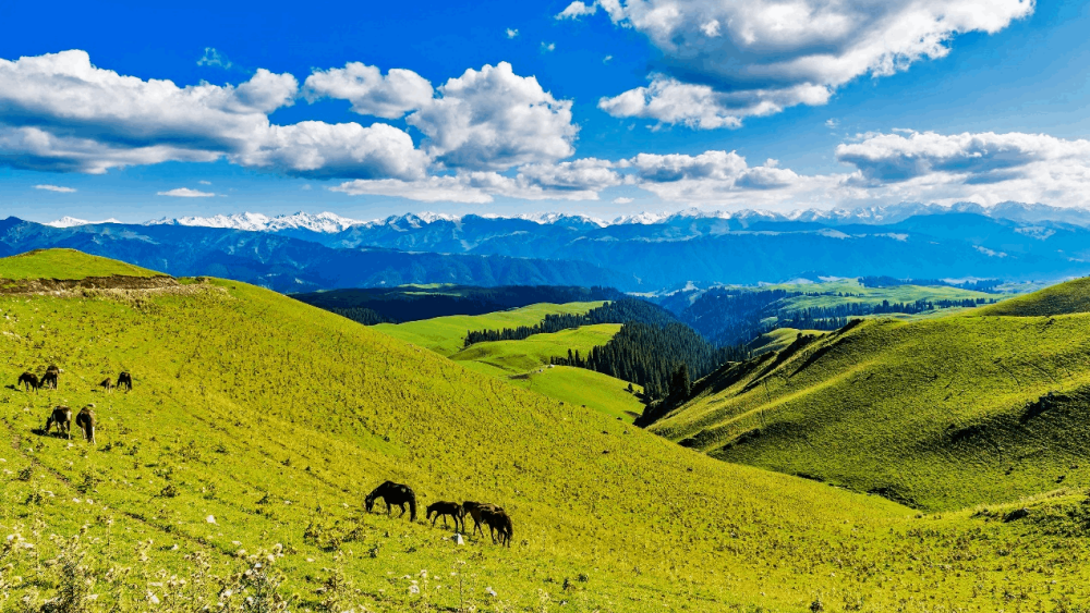 中國的南山國家公園（圖片來源：湖南省文化與觀光部）