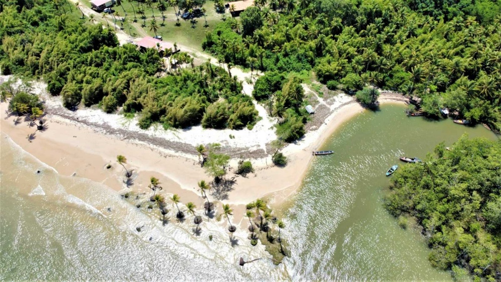 alt-巴西、中國、哥倫比亞、法國、沙烏地阿拉伯、尚比亞等國12處新點榮登IUCN綠色名錄-1