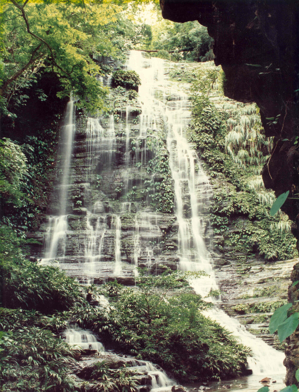 alt-巴西、中國、哥倫比亞、法國、沙烏地阿拉伯、尚比亞等國12處新點榮登IUCN綠色名錄-2