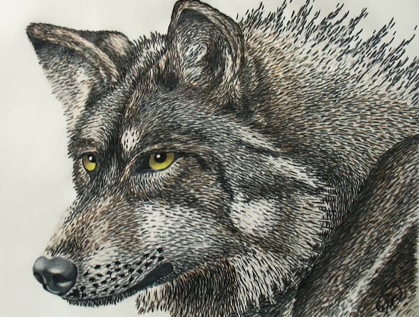 alt-我與「我的國家公園」My life as a Ranger -2