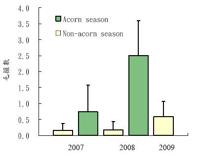 alt-20100505_love_06
