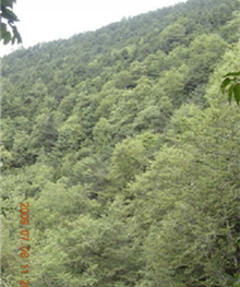 alt-玉山國家公園生物資源大調查  -1