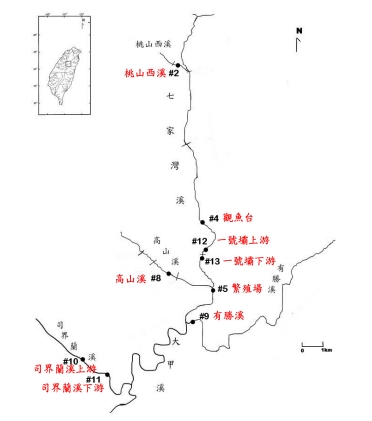 alt-櫻花鉤吻鮭的故鄉　98年度武陵地區長期生態研究-2