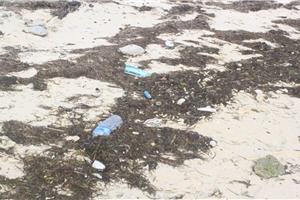 alt-東沙環礁之美與生態保育及環境保護的重要-8