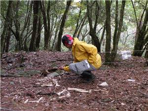 alt-20110615_love_05