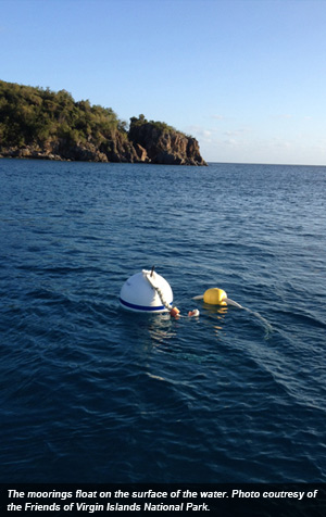 alt-珊瑚礁保育天堂：一個沒有船錨的國家公園-2