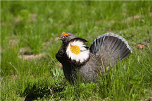 alt-20090722_other_03