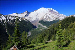 alt-冰與火交織的雷尼爾山國家公園（Mount Rainier National Park）-2