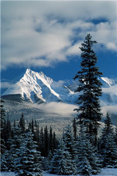 巍峨的加拿大洛磯山脈 