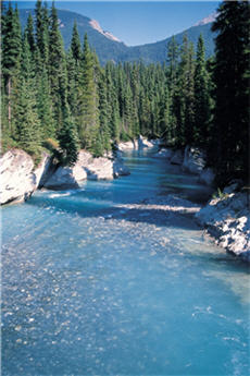 alt-庫特內國家公園─加拿大洛磯山脈國家公園的壓軸明星-1