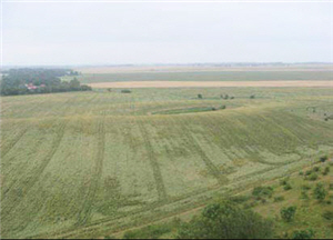 alt-德國國家公園設置標準簡介(一)-1