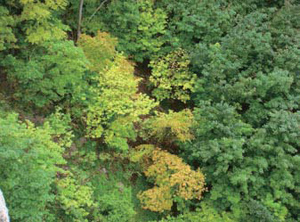 alt-20091111_other_05