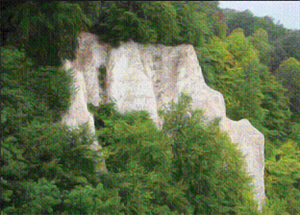 alt-德國國家公園設置標準簡介(二)-1