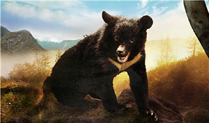 alt-印度喀什米爾丹希岡國家公園周邊地區亞洲黑熊之人熊衝突動態-1