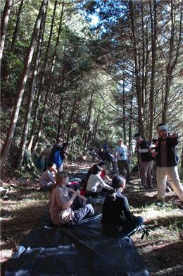 農田與森林是黑熊最常攻擊人們的場所