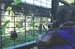 alt-日本不同棲地條件對於人類與亞洲黑熊造成衝突的影響-1