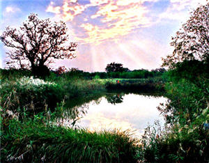 alt-「西溪，且留下」－大陸西溪濕地的重生與燦爛-1