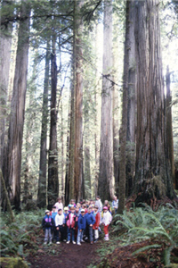 alt-NPS協助德爾諾特海岸紅木州立公園未來一年的營運-1