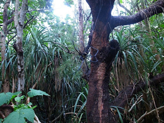 alt-墾丁不為人知的另一面-1