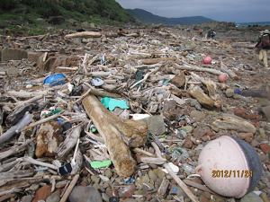 海灘漂流木與廢棄物
