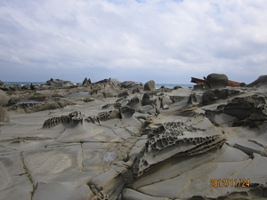 砂礫岩石塊蜂巢岩