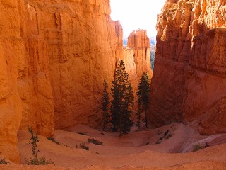 alt-岩柱露天劇院---布萊斯峽谷國家公園(Bryce Canyon National Park)-2