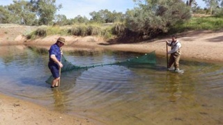 alt-教師為自然科學下荒野-1