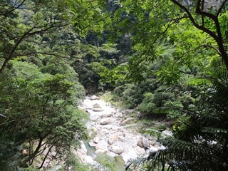 alt-夏天，鐵道輕旅行造訪花蓮-1