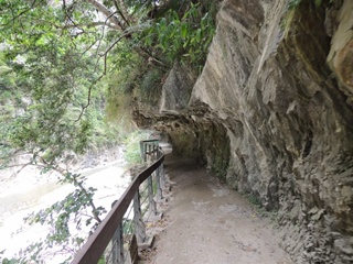 平坦步道適合闔家遊憩