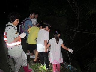 港口社區解說員先帶參與民眾在路旁一處小溪流觀察夜間活動的陸蟹