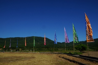 路旁飄揚的旗幟宣告琅橋鷹季的到來