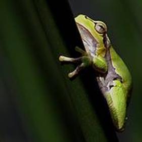 alt-自然保育的公私協力夥伴關係-1