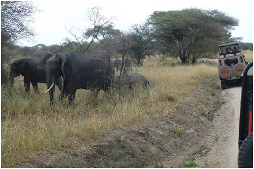 alt-保護區發展觀光旅遊妥善規劃大加分-1