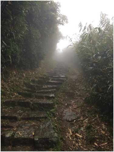 alt-陽明山之旅-1