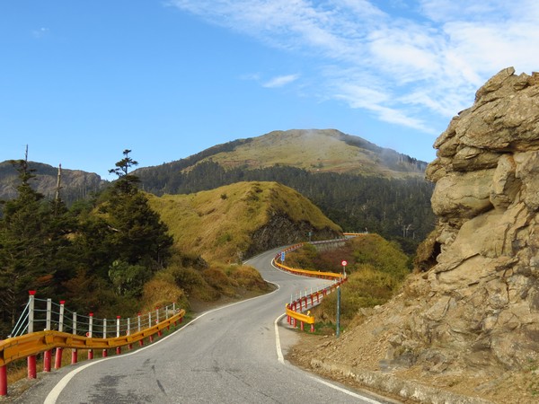 獨佔晨間的馬路