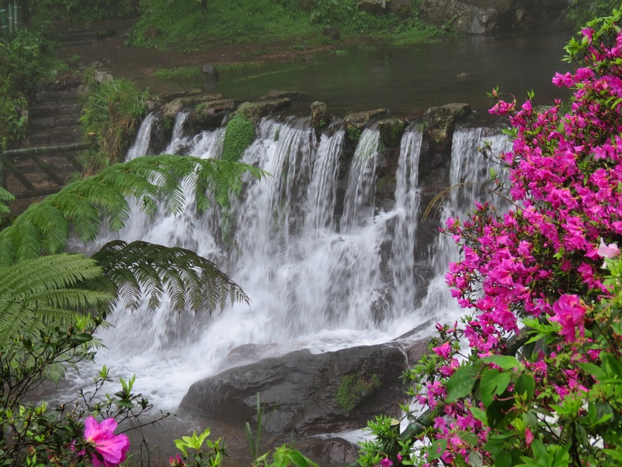 alt-何妨來趟陽明山國家公園溪瀑之旅-1