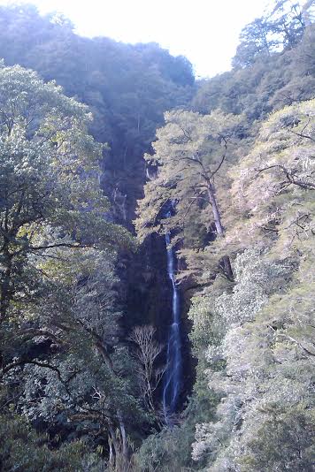alt-雪霸國家公園觀霧遊憩區-1