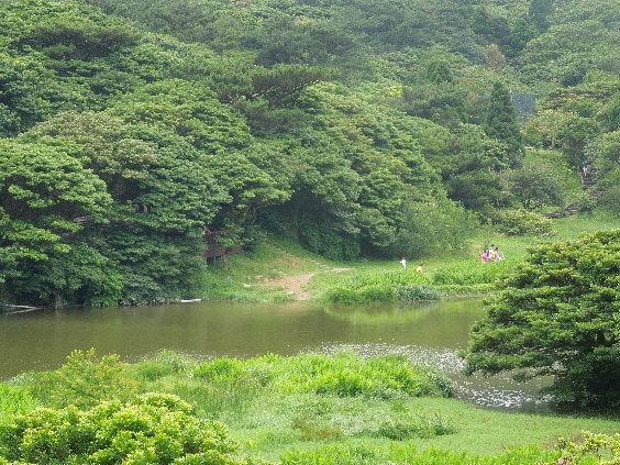 令人心曠神怡的大屯自然公園