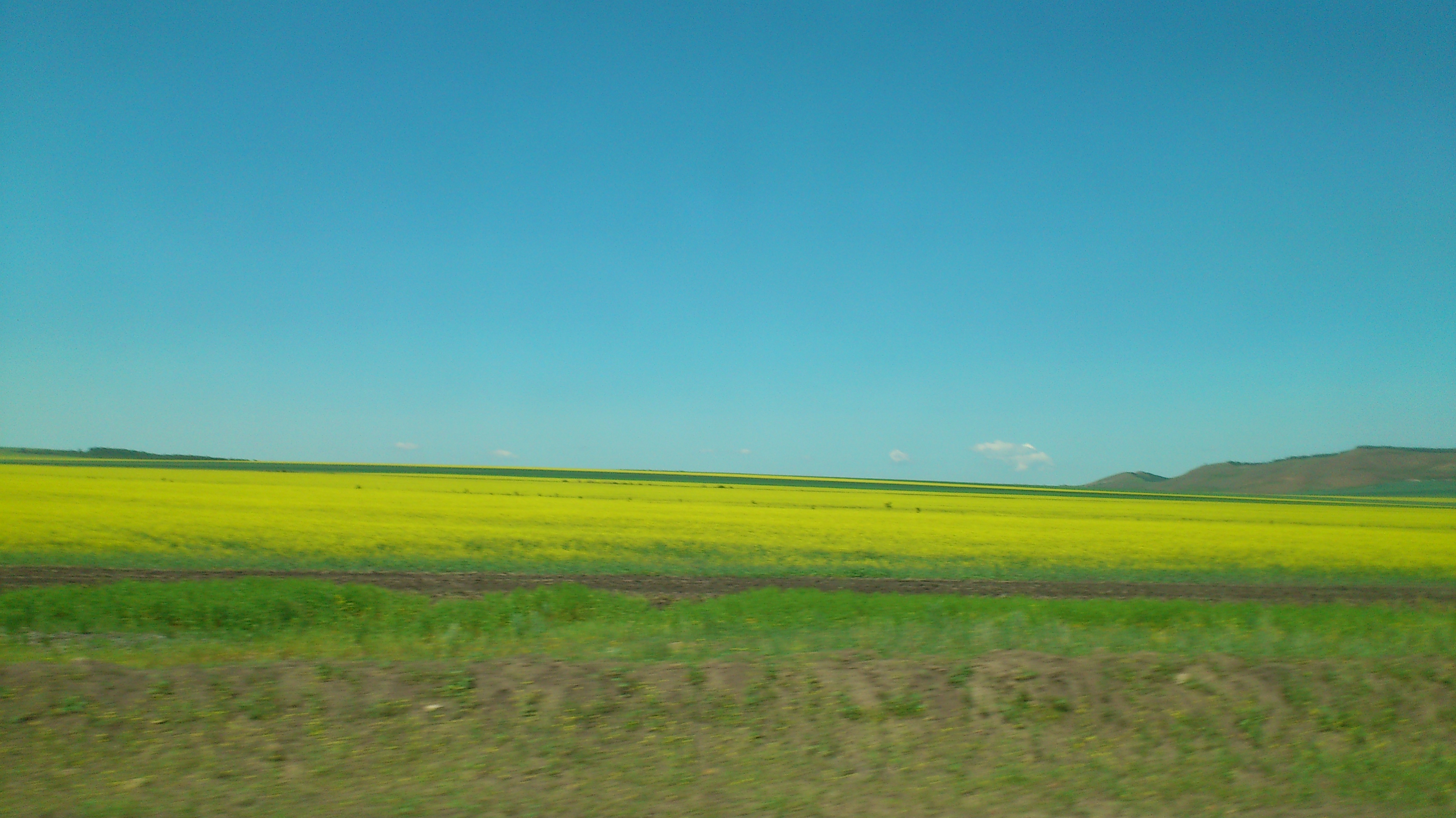 alt-內蒙爾道夏森林國家公園-1