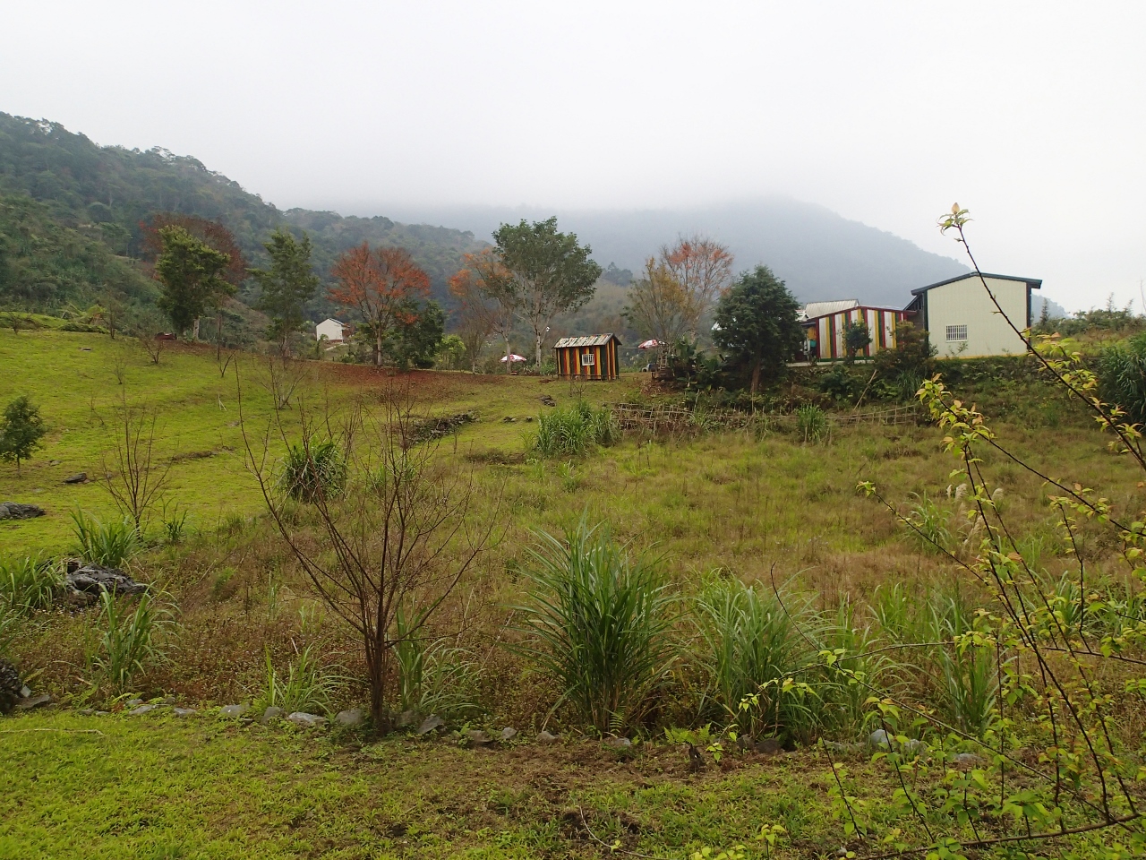 alt-國家公園與原住民族攜手共管珍貴生態資源--邦卡兒海放南秘書及高佽主任核派首2位具原住民身分的中高階主管-1