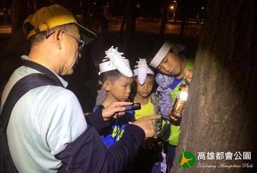 「夜幕下的精靈」跟著講師的引導 探訪夜間活動的昆蟲及動物  (高雄都會公園管理站提供)